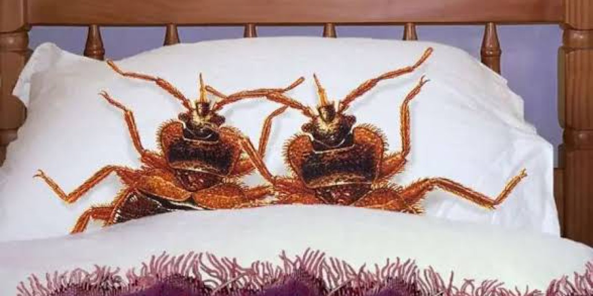 Deemak Control Spray in Lahore | Complete Termite Treatment & Prevention Guide
