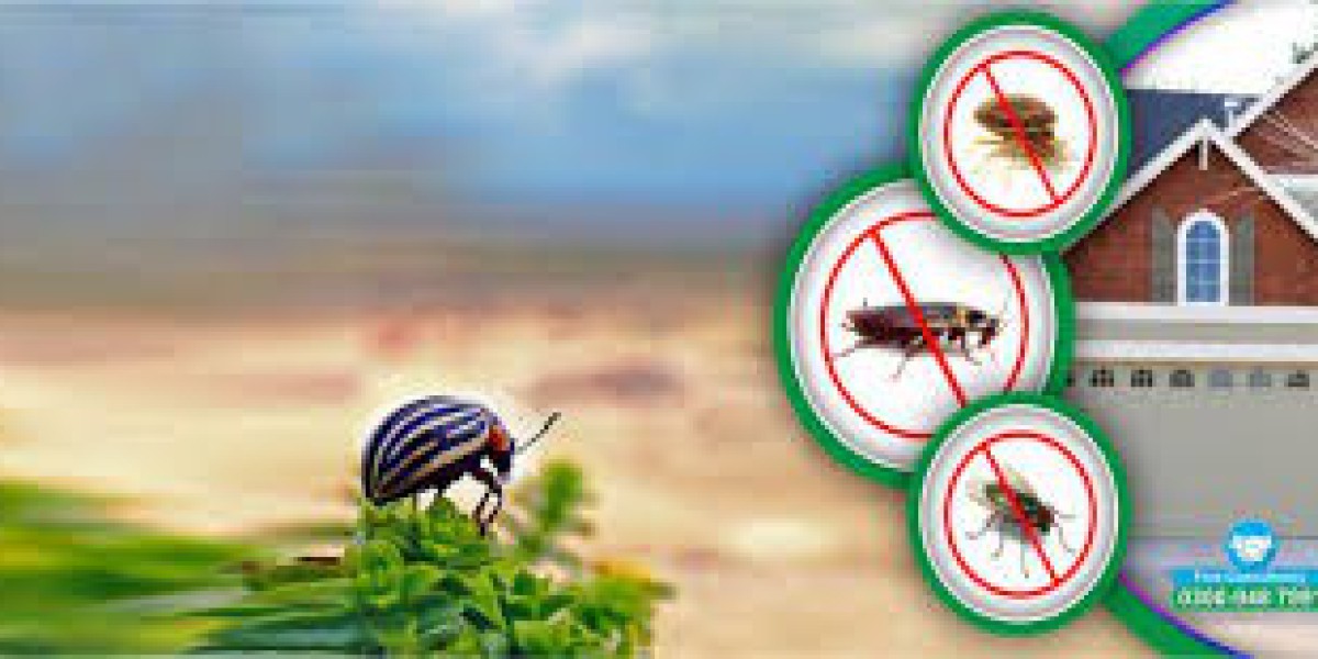 Trusted Termite Control Services in Lahore for Lasting Property Protection Solutions
