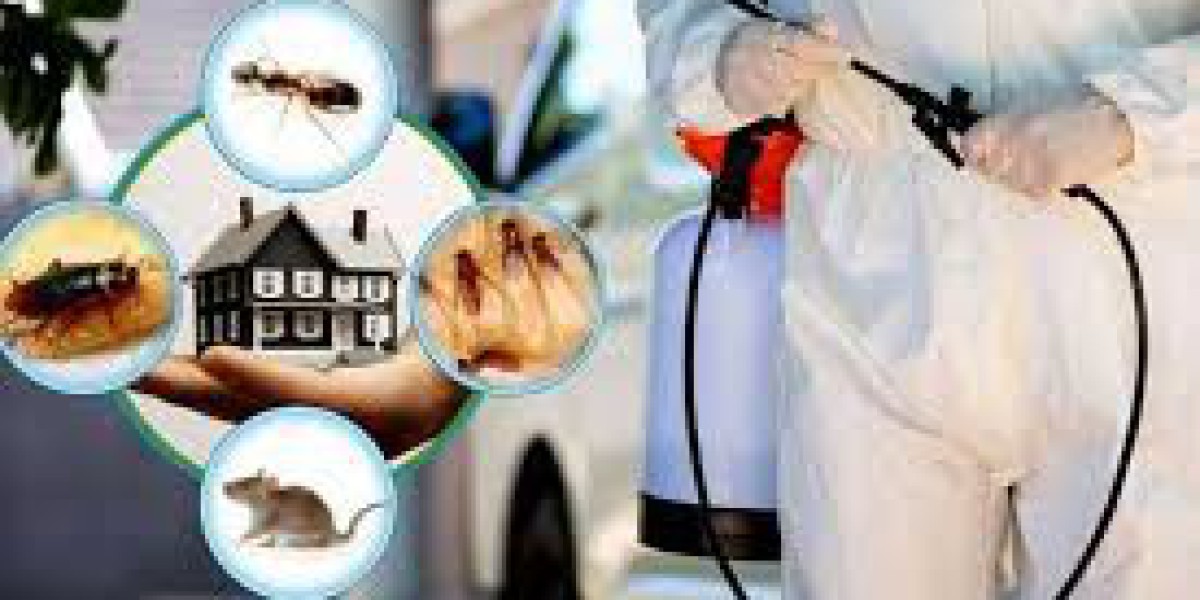 Reliable Termite Control Services in Lahore Protect Every Property from Hidden Damage