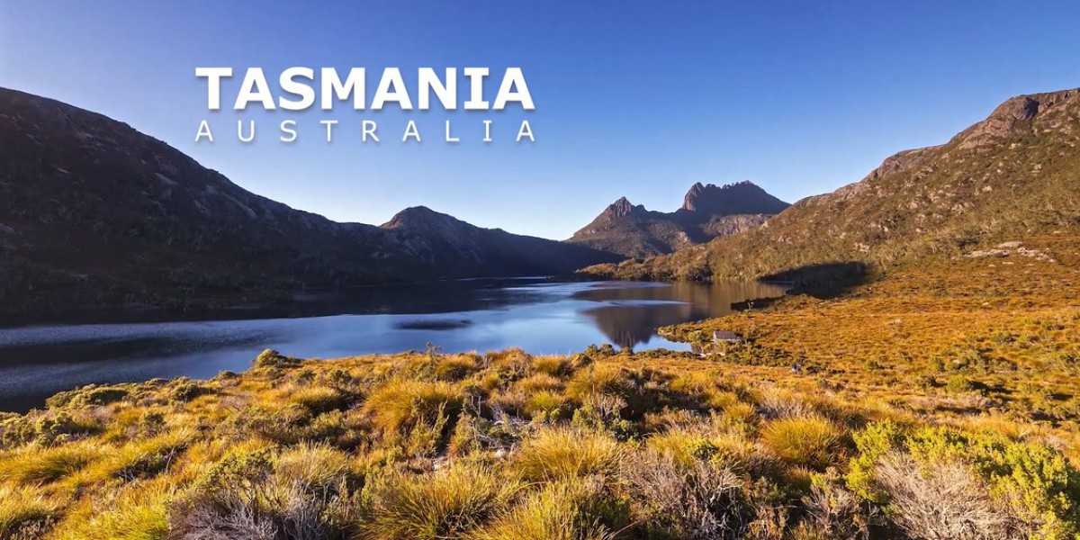 Top 10 Benefits of Working with an Immigration Consultant in Tasmania for Permanent Residency in 2026